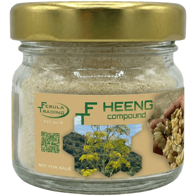 Ferula flower in bloom